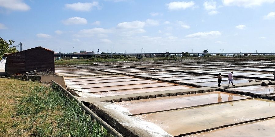 Ecomuseu Marinha da Troncalhada