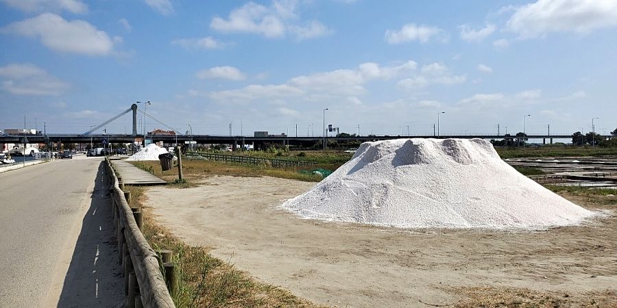 Salinas de Aveiro